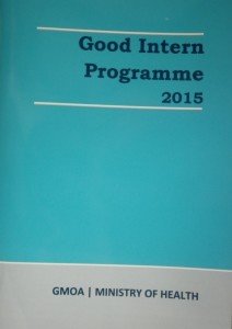 2015 Good Intern Programme booklet
